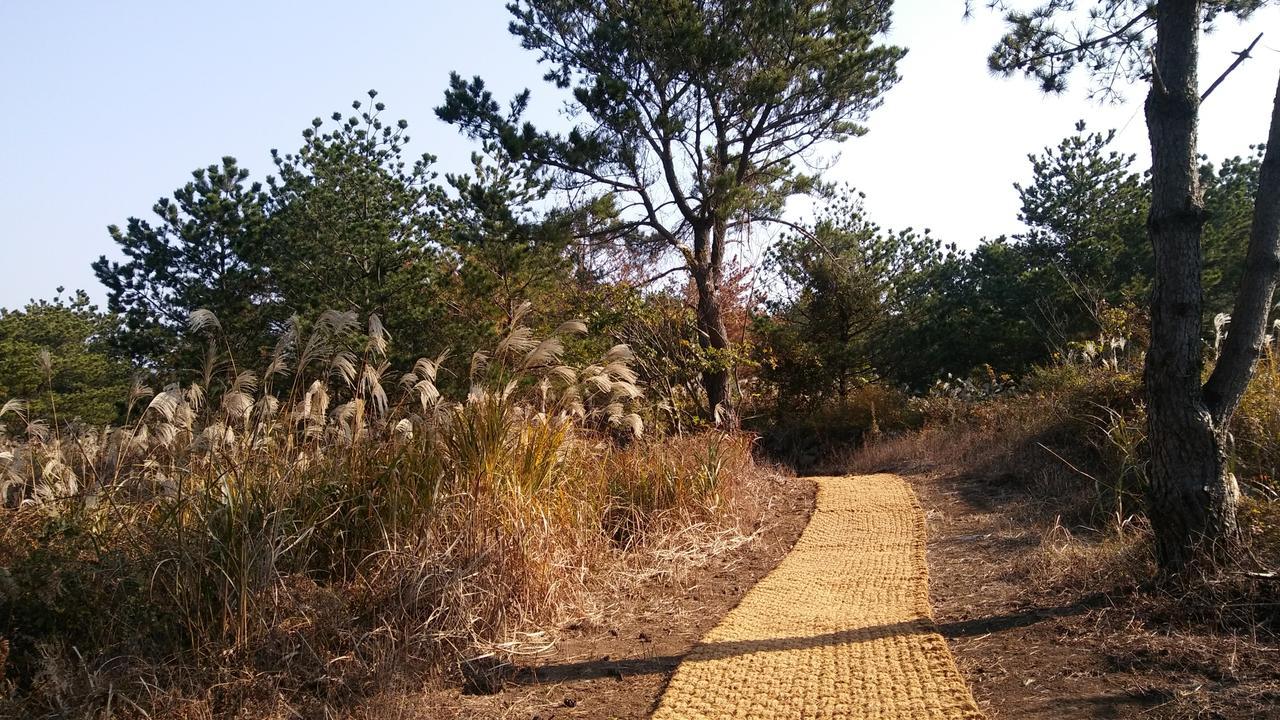 Jeju Youth Hostel Exterior foto