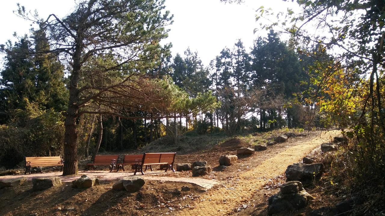 Jeju Youth Hostel Exterior foto